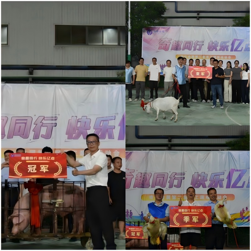 1789694554356430.jpg WPS拼图0.jpg